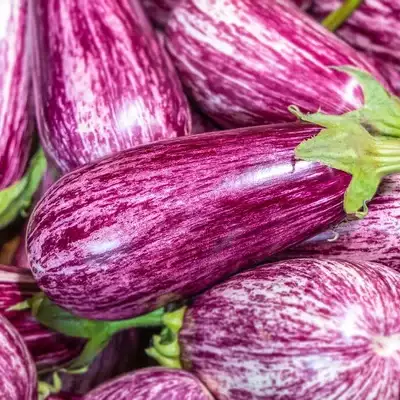 Aubergine graffiti