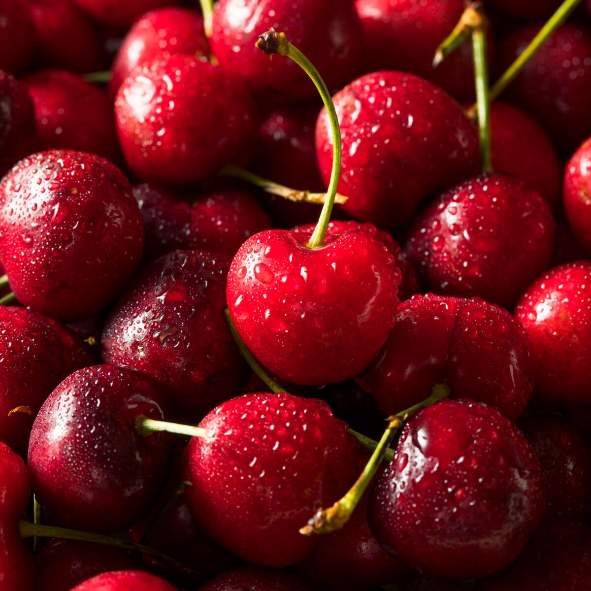 Raw Red Organic Cherries Ready to Eat