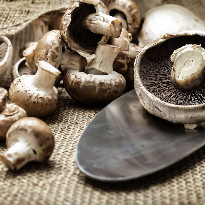 Champignons de Paris