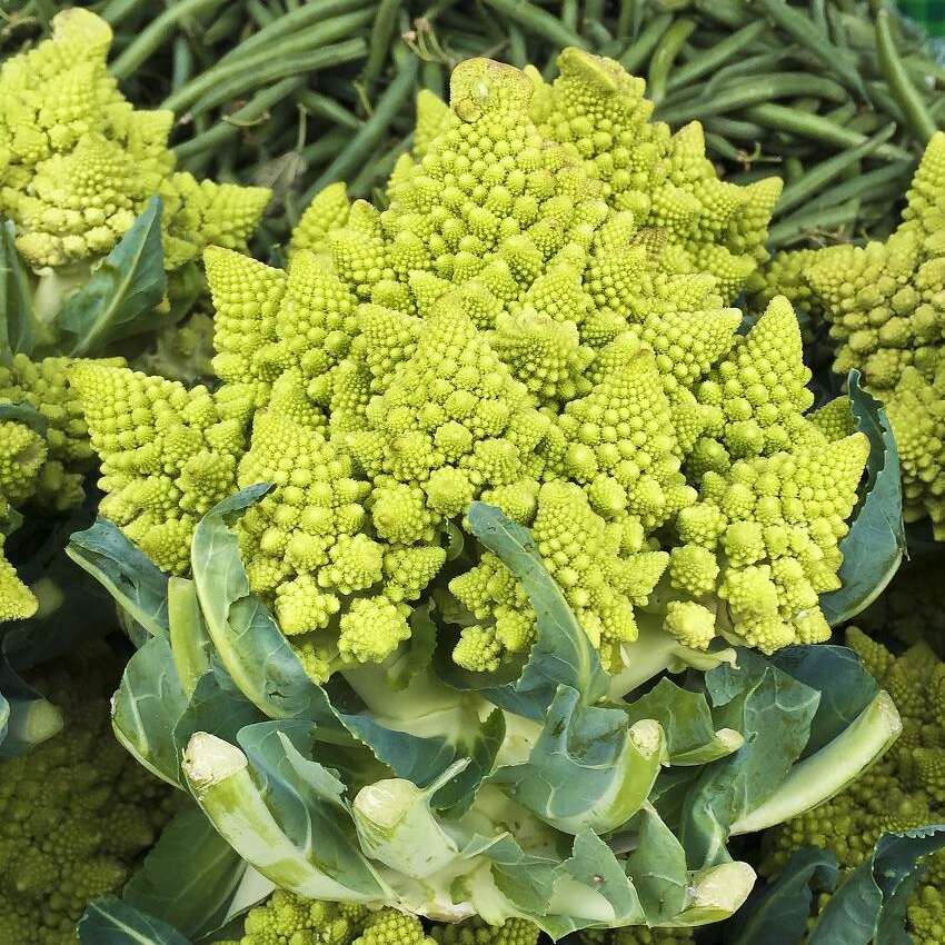 Chou romanesco