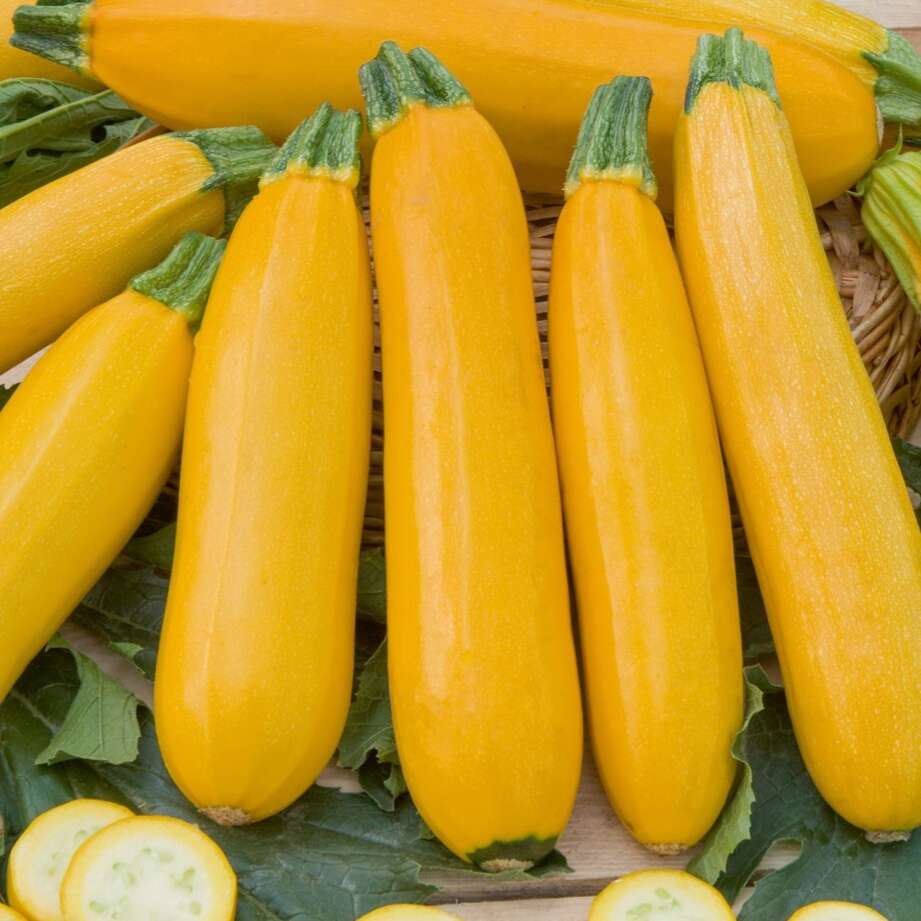 Courgettes jaunes