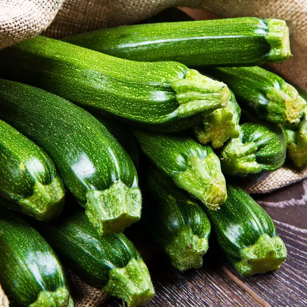 Courgettes vertes