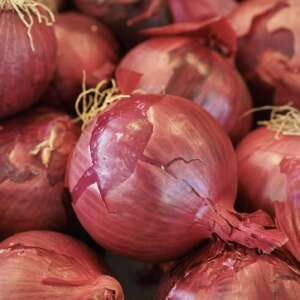 Oignons rouges