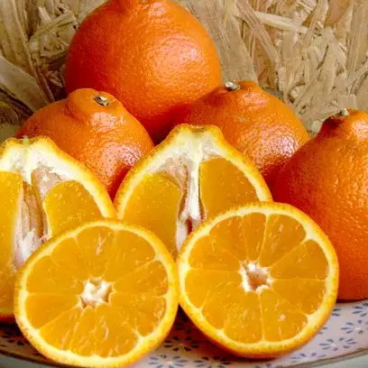 Oranges Mineolas