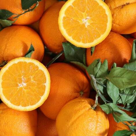 Oranges de Sicile BIO