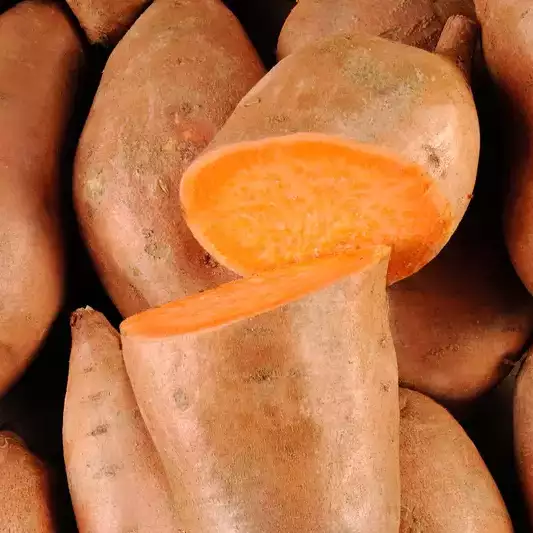 Patates douces