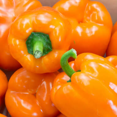 Poivrons oranges Poivrons oranges