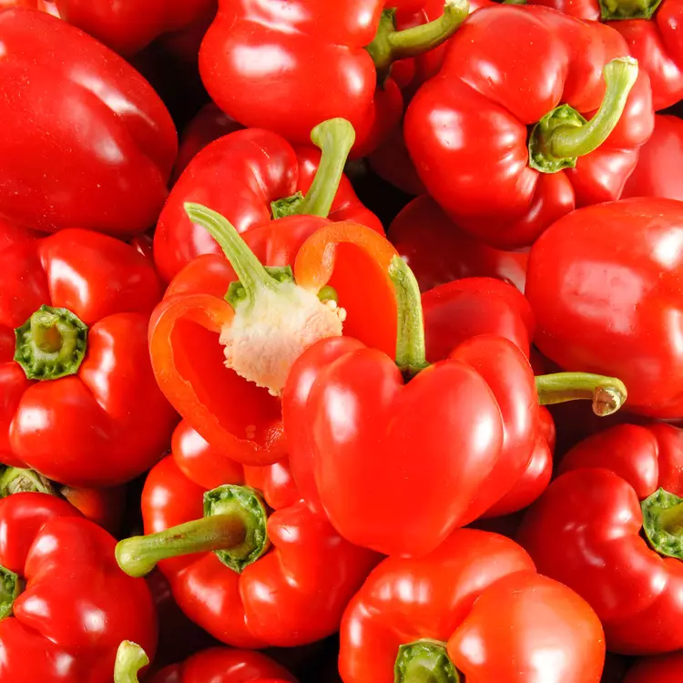 Poivrons rouges