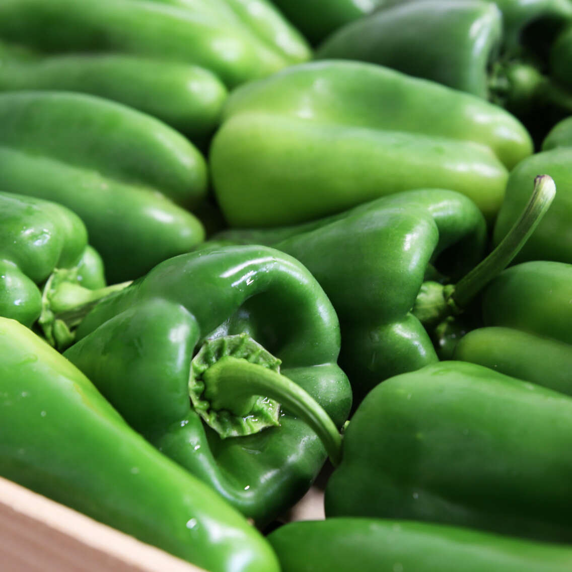 Poivrons verts Poivrons verts