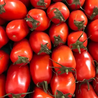 Tomates Torino