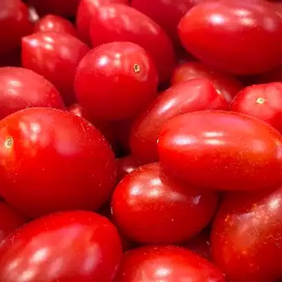 Tomates cerises Cœur de pigeon